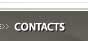 contacts